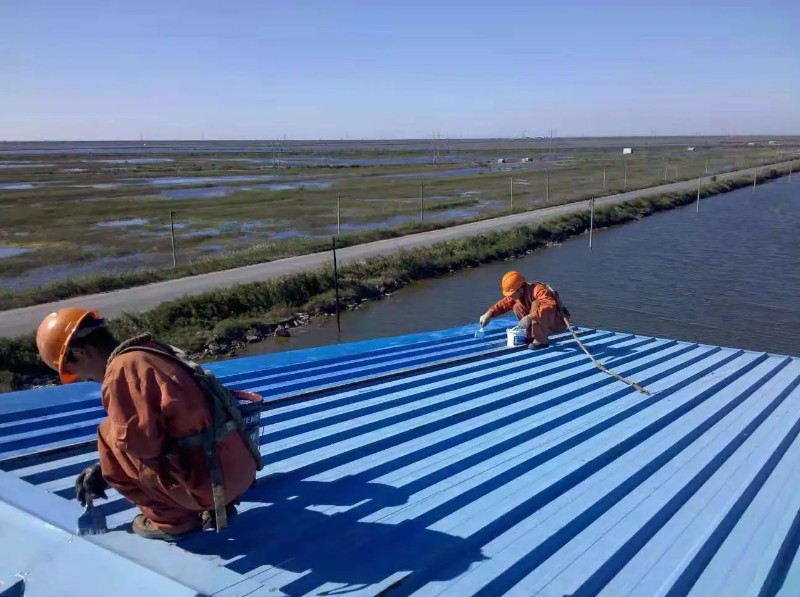 鼓楼彩钢瓦屋面防腐翻新